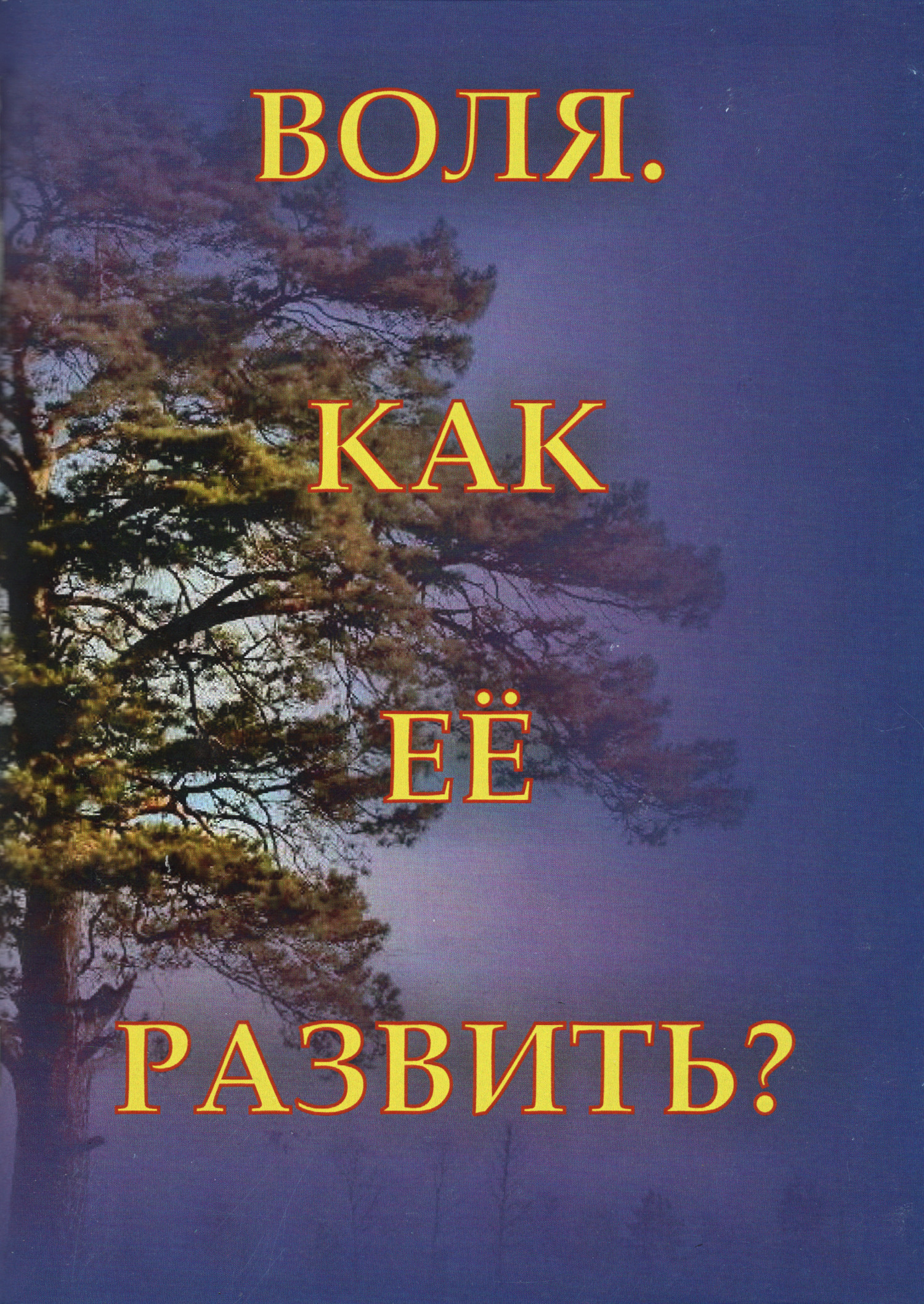 Купить книгу Воля. Как ее развить? в интернет-магазине AgniBooks.ru