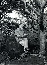 Купить Святослав Рерих за эскизами в своем имении. Фото. Бангладор, Индия. 1963 в интернет-магазине AgniBooks.ru