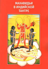 Махавидьи в индийской тантре (мягкий переплет). 