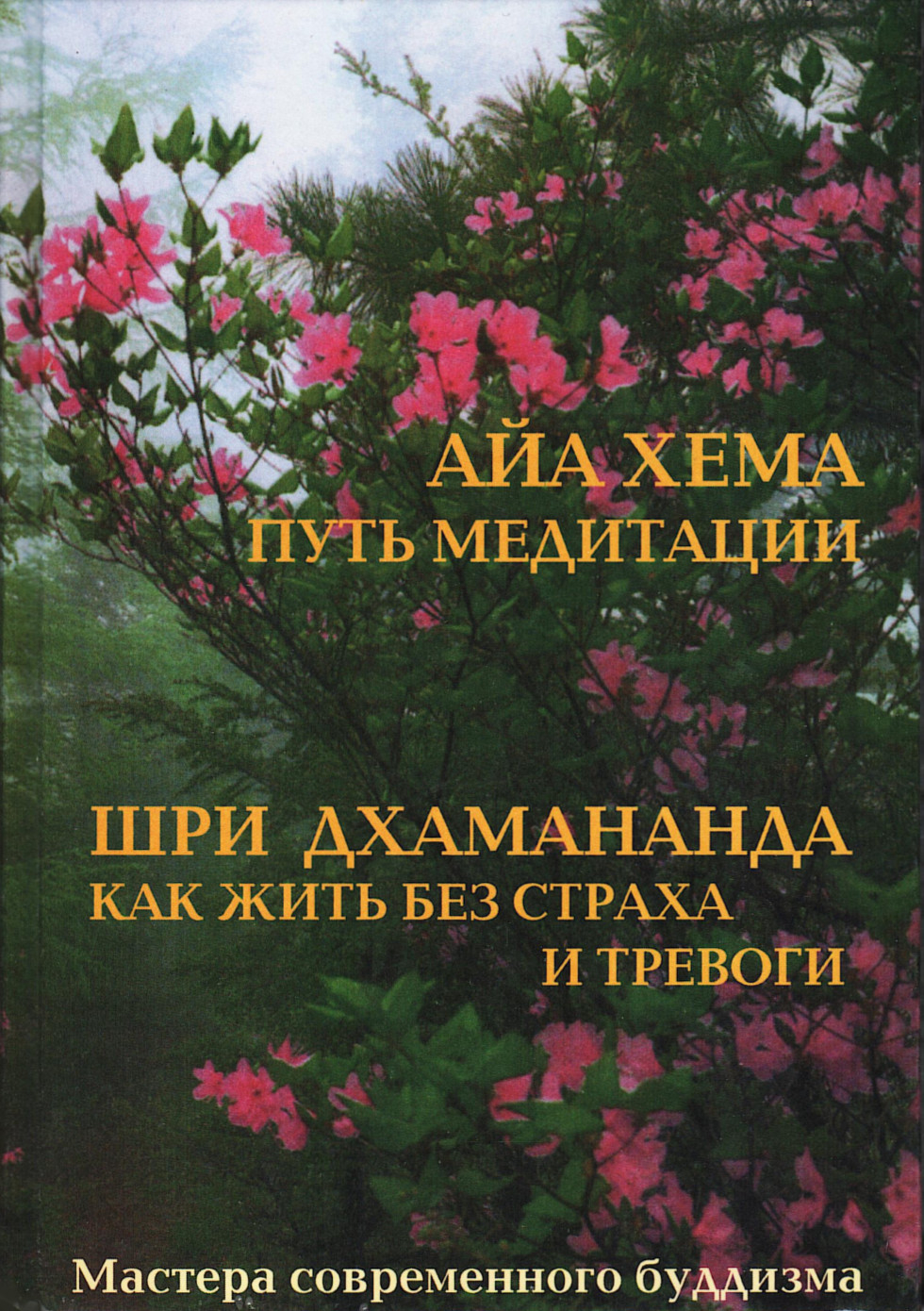 Путь медитации. Как жить без страха и тревоги. 