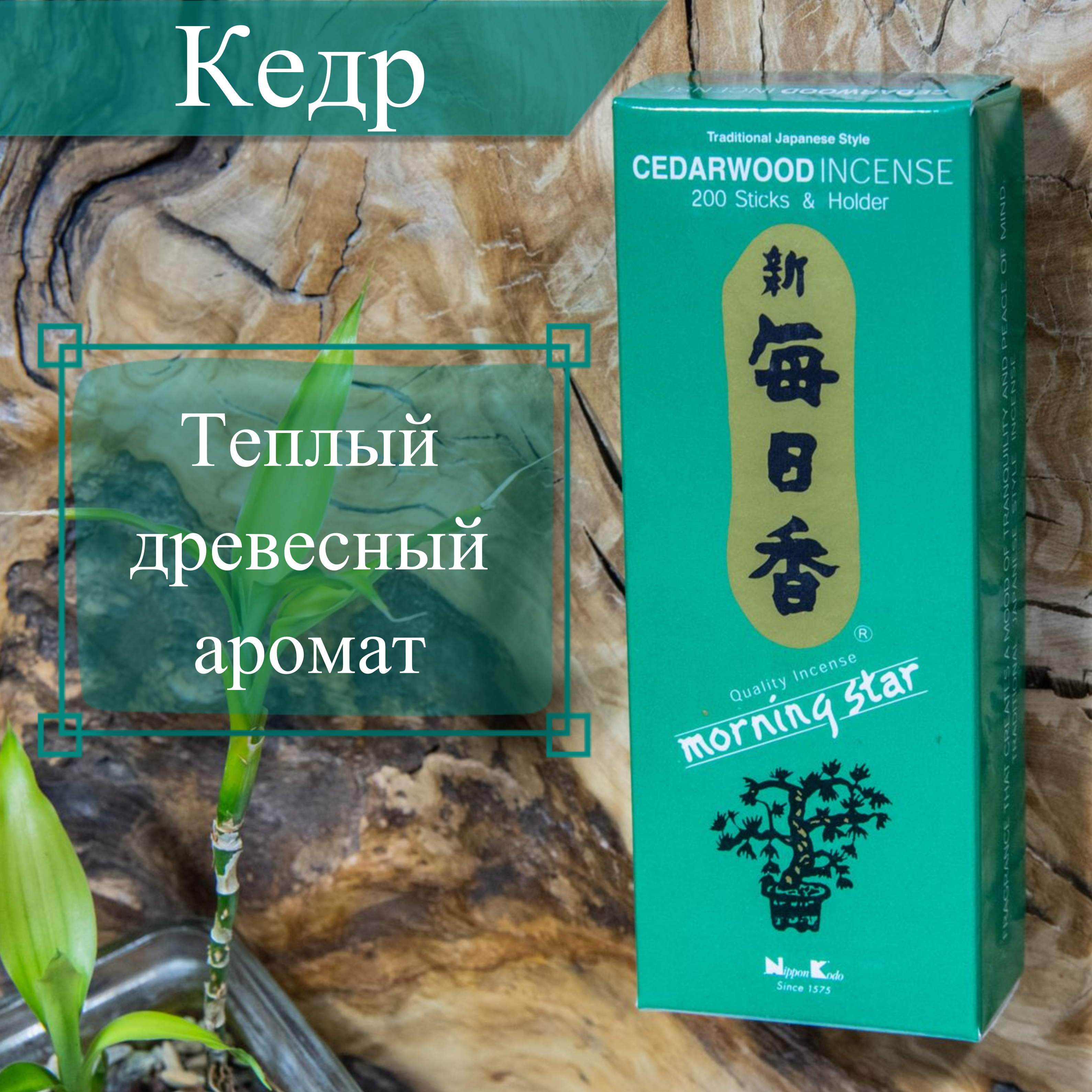 Купить Благовоние Cedarwood (Кедр), 200 палочек по 12 см в интернет-магазине Dharma.ru