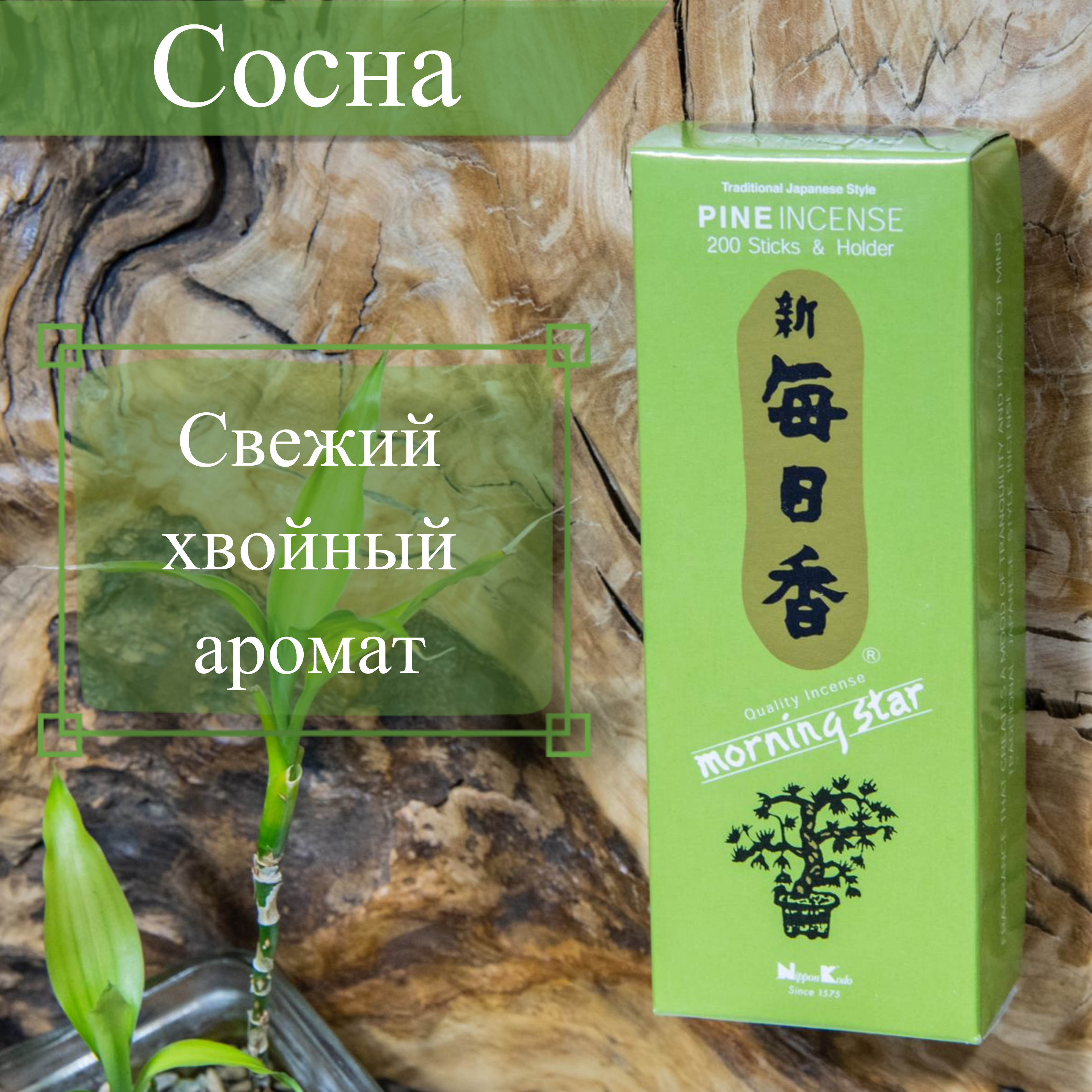 Купить Благовоние Pine (Сосна), 200 палочек по 12 см в интернет-магазине Dharma.ru