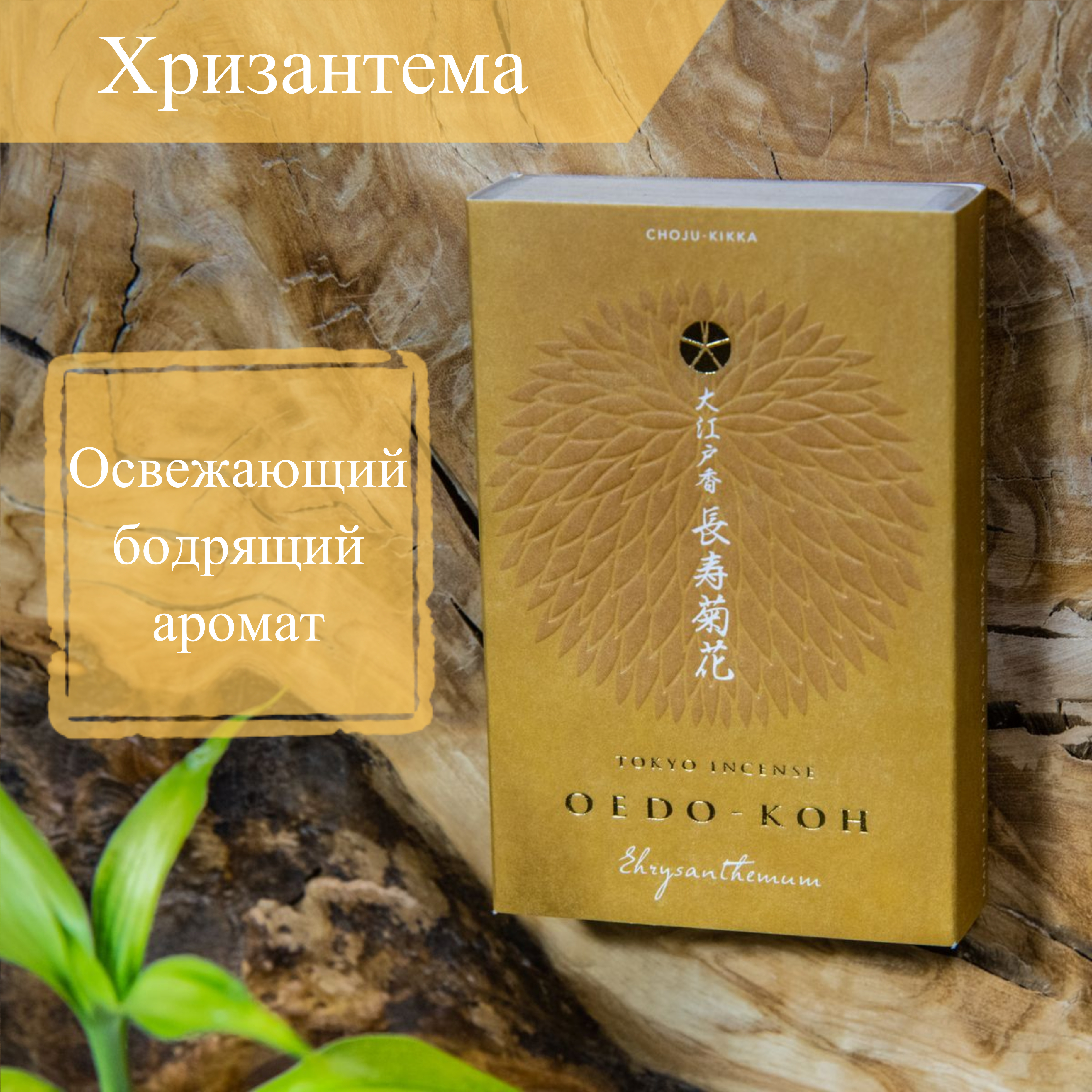 Купить Благовоние Oedo-Koh Chrysanthemum (хризантема), 60 палочек по 5,7 см в интернет-магазине Dharma.ru