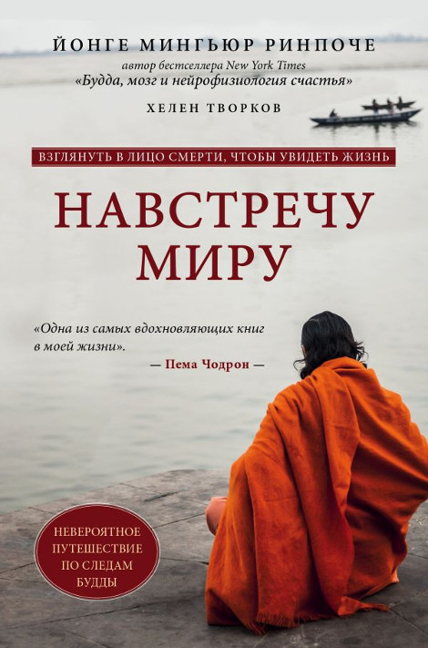 Купить книгу Навстречу миру Йонге Мингьюр Ринпоче в интернет-магазине Dharma.ru