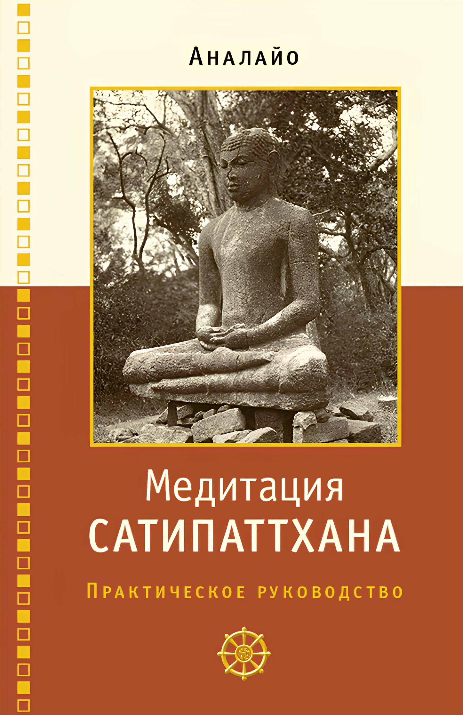 Купить книгу Медитация сатипаттхана. Практическое руководство Аналайо в интернет-магазине Dharma.ru