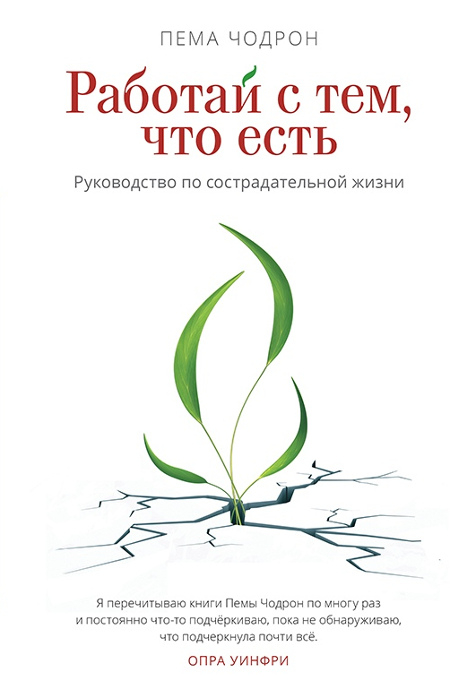 Работай с тем, что есть. Руководство по сострадательной жизни. 