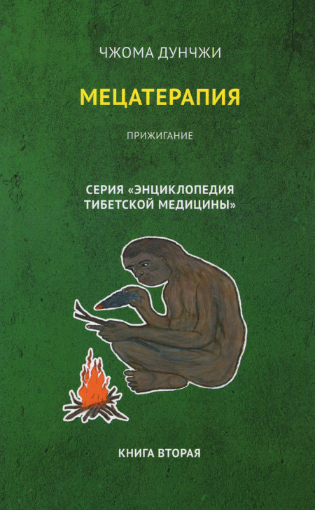 Мецатерапия. Прижигание. Книга 2. 