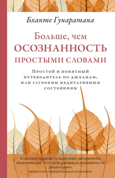 Больше, чем осознанность простыми словами. Простой и понятный путеводитель по джханам, или глубоким медитативным состояниям. 