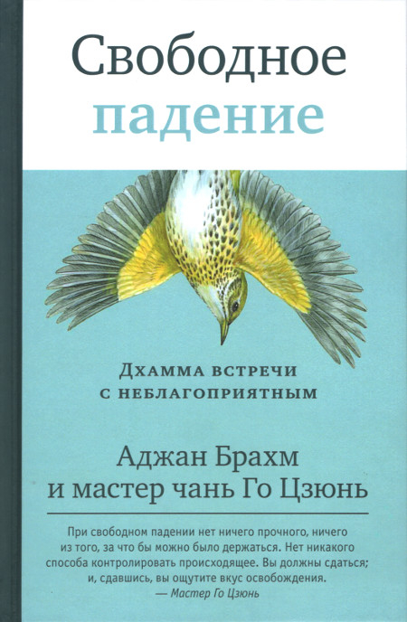 Свободное падение. Дхамма встречи с неблагоприятным. 