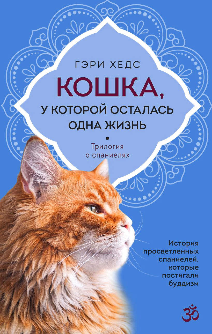 Кошка, у которой осталась одна жизнь. 