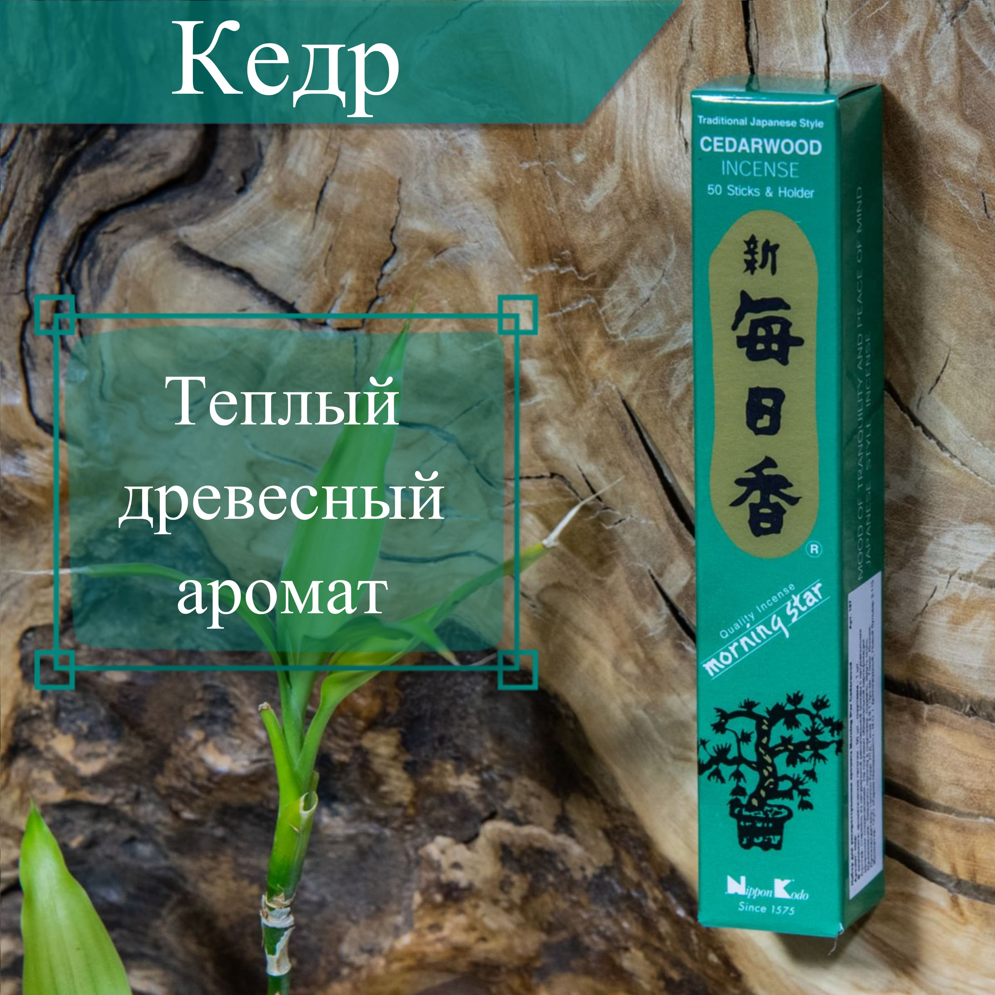 Купить Благовоние Cedarwood (Кедр), 50 палочек по 12 см в интернет-магазине Dharma.ru