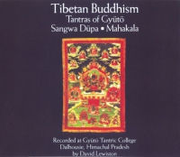 Купить Tibetan Buddhism Tantras of Gyuto (aудиодиск) в интернет-магазине Dharma.ru