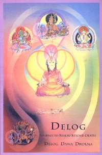 Купить книгу Delog: Journey to Realms Beyond Death Delog D. Drolma в интернет-магазине Dharma.ru