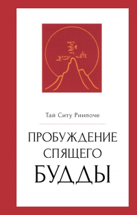 Купить книгу Пробуждение спящего будды Тай Ситупа Двенадцатый в интернет-магазине Dharma.ru