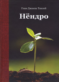 Купить книгу Нёндро Геше Джампа Тинлей в интернет-магазине Dharma.ru