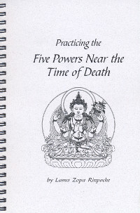 Купить книгу Practicing the Five Powers Near the Time of Death в интернет-магазине Dharma.ru