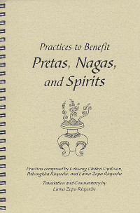 Купить книгу Practices to Benefit Pretas, Nagas and Spirits в интернет-магазине Dharma.ru
