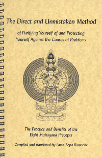 "The Direct and Unmistaken Method: Practice and Benefits of the 8 Mahayana Precepts" 