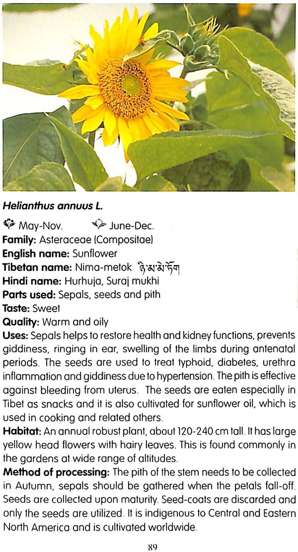 "A Handbook of Tibetan Medicinal Plants" 